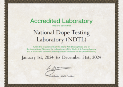 Screenshot-2024-08-16-160533